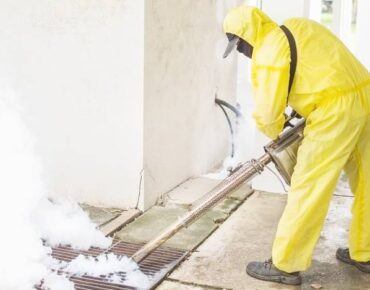 Pest Control Professional Fumigating