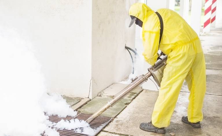 Effective Strategies for Mosquito Control During Monsoon Season