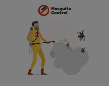 Mosquito Control
