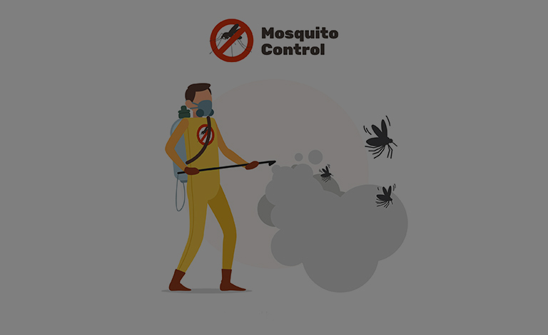 Preventing Dengue Outbreaks: Effective Pest Control for Mosquitoes in Delhi Flats