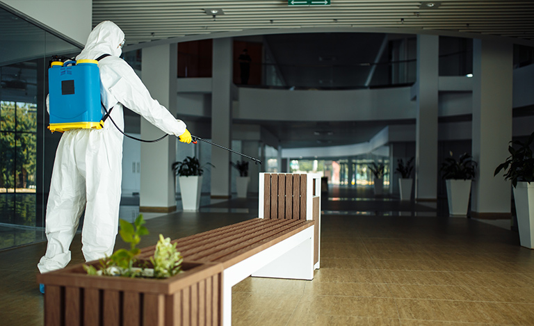 Ensuring Pest-Free Hotels: The Importance of Hotel Pest Control