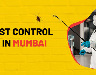 Pest Control Service In Mumbai