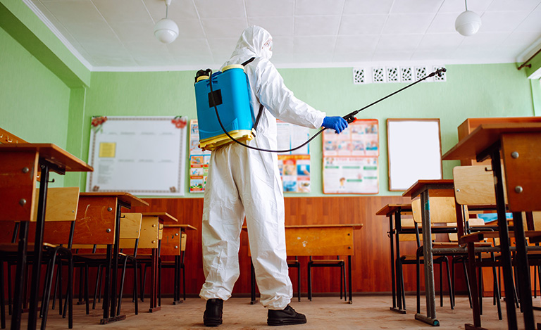 Why Are Pests Such a Problem in Schools?