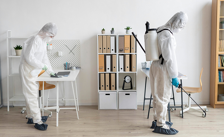 How to Prepare Your Apartment for Pest Control?