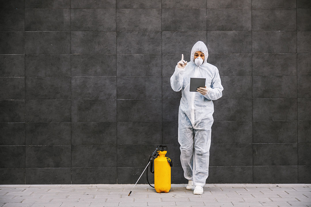 First Time Needing Pest Control? Here’s What to Expect