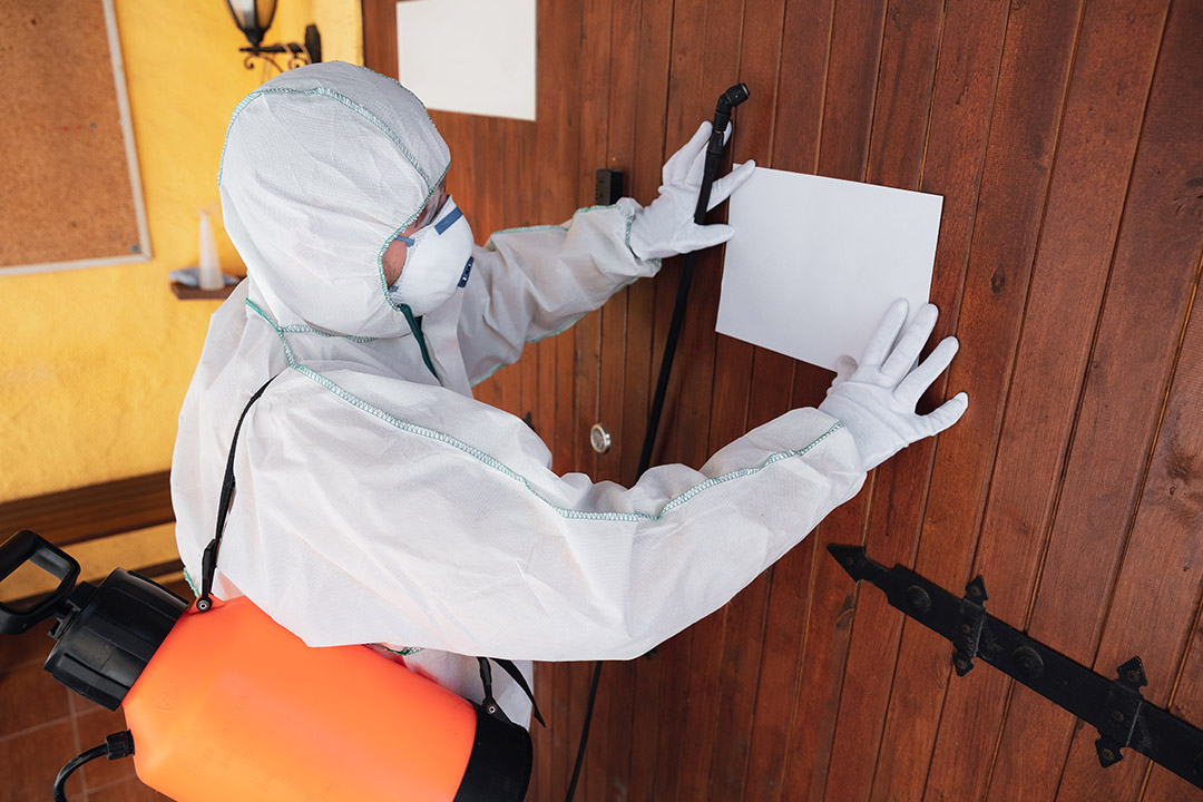 The Role of Pest Control in Maintaining Your Property Value