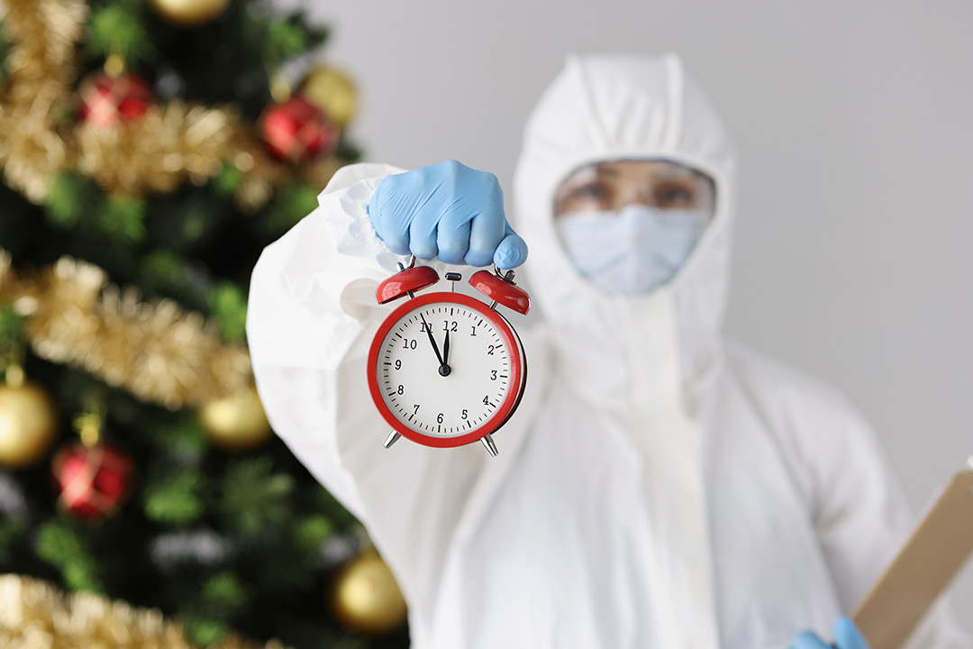 What Time of the Year is Best for Pest Control